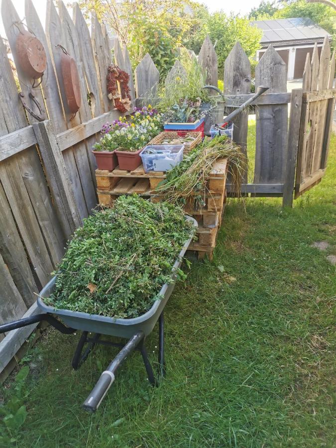 Gartenwohnung Paulsdorf Dippoldiswalde Ngoại thất bức ảnh